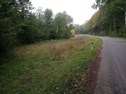 Foto von bremsrad entlang der Tour
