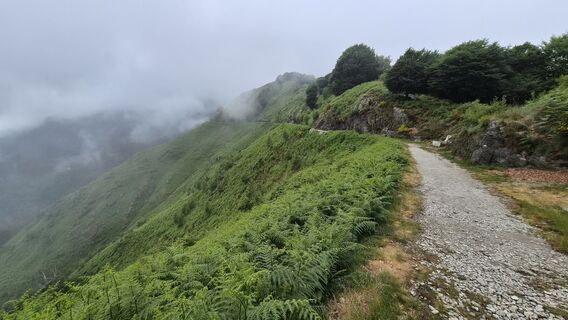 Foto von Sabdah entlang der Tour