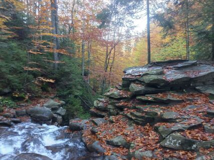 Foto de Darekbochnak6 a lo largo del recorrido