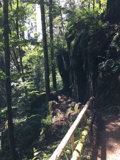 Zum Höllbachfall im Hotzenwald
