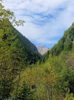 Photo de Rottiman le long du parcours