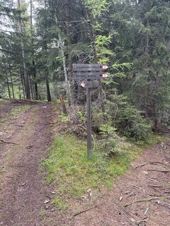 Fotografia z Thomas Trautwein na trase