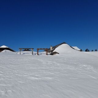 Die Lanznalm ist kaum mehr zu erkennen. Bester Anschauungsunterricht des Windeinflusses.