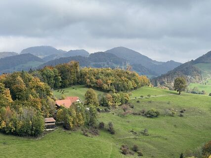 Foto da Ruedi Gerber lungo il tour
