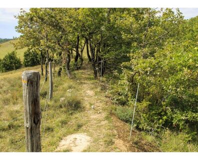 Sentier de l'Ail Lautrec