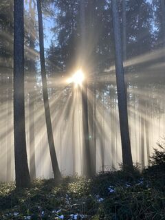 Fotografia z Anton Mühlleitner na trase