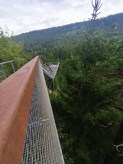 Fotografia z Hakuna Matata na trase
