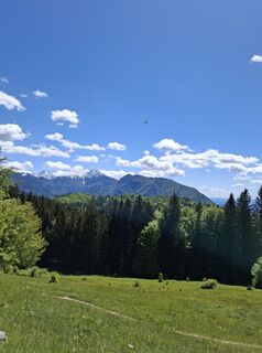 Fotografija s spletne strani Miha Gros na poti