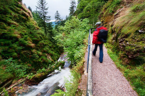 Entlang der Wasserfälle