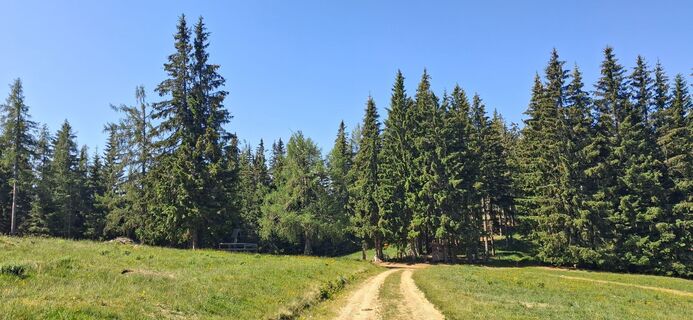 Foto von Michaela Kun2020 entlang der Tour