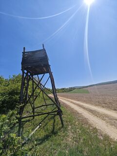 Fotografija s spletne strani Katona Ferk Mariann na poti