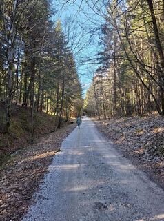 Zdjęcie z Miha Gros wzdłuż trasy