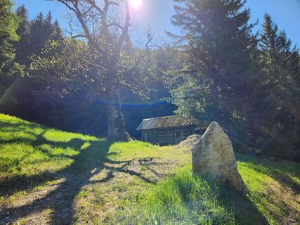 Fotografia z Petra Riegler na trase