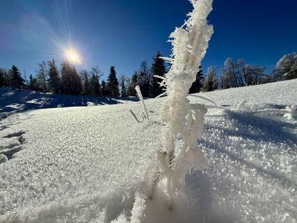 Foto von Natur_erleben_dg entlang der Tour