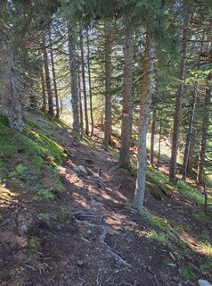 Foto von Wanderbursche66 entlang der Tour