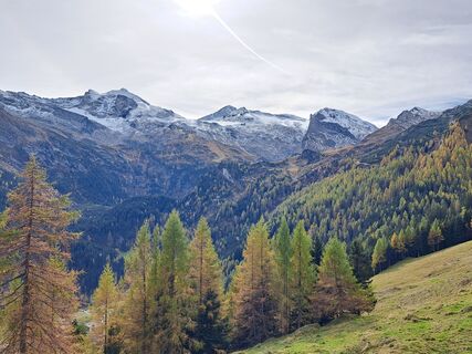 Fotografie z Pinzger Petra ??‍♀️?? na trase