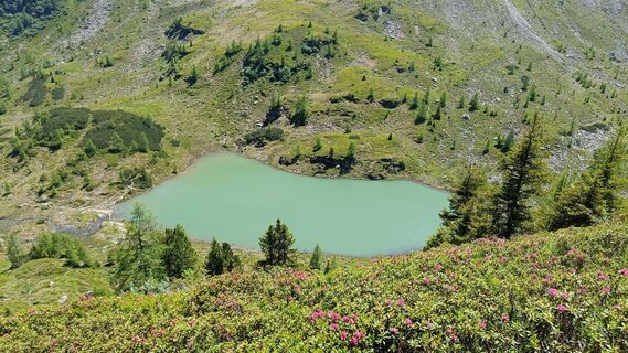 Photo de SabineH le long du parcours