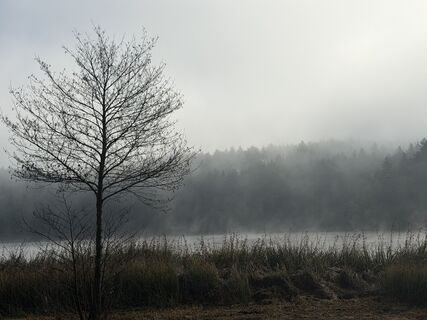 Foto von weichbo entlang der Tour