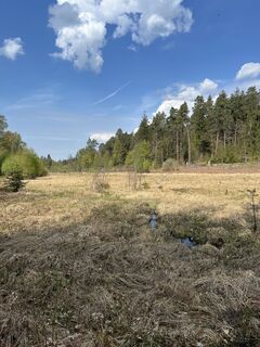 Photo de Lothar le long du parcours