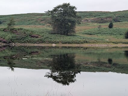 Photo de ottiperk le long du parcours
