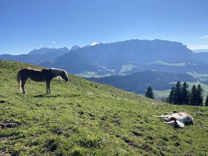Photo de Henriette Zeltner le long du parcours