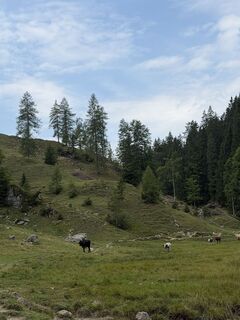 Foto von S S 7 entlang der Tour