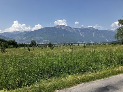 Foto von wisky entlang der Tour