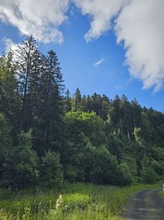 Foto von Angelika Gerung entlang der Tour