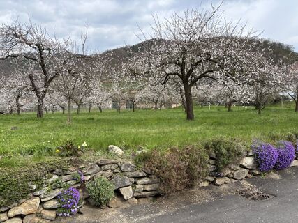 Foto de Carla Baghajati a lo largo del recorrido