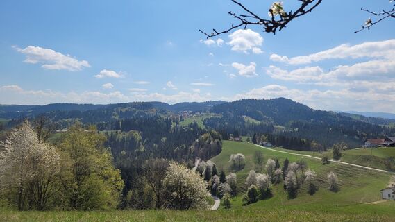 Fotografia z Juliane Jarke na trase