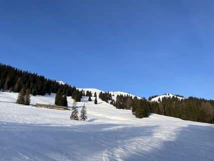 Photo de Andre Tatter le long du parcours