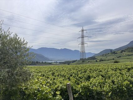 Foto von Olaf Sennhenn entlang der Tour