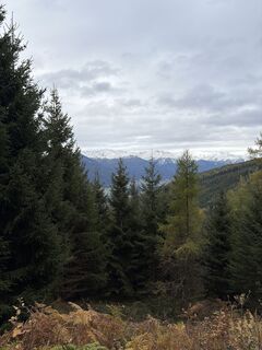 Foto von Louis entlang der Tour