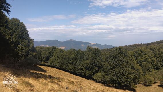 Fotografija s spletne strani Jacky belzung na poti