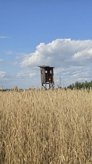 Foto von Hieu Duc Tram entlang der Tour