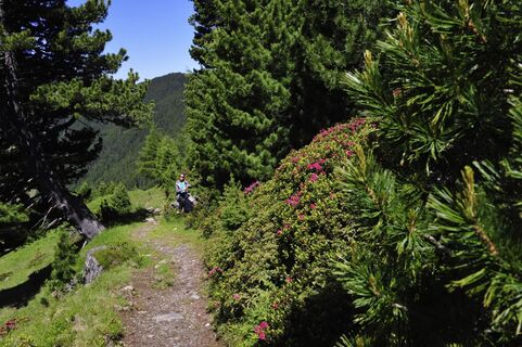 2015_1019.jpg