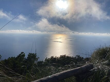 Fotografija s spletne strani David Amrein na poti