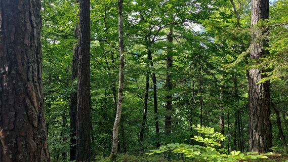 Foto von Susanne Linzbacher entlang der Tour