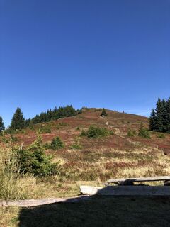 Photo de Maja Voler le long du parcours