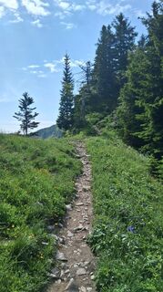 Fotografia z Enkidu55 na trase