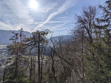 Photo de Kurt le long du parcours