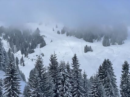 Fotografie z C K na trase