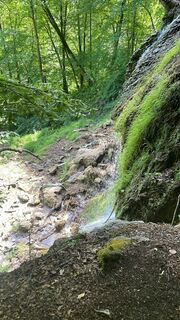 Foto de Thomas Pawlik a lo largo del recorrido