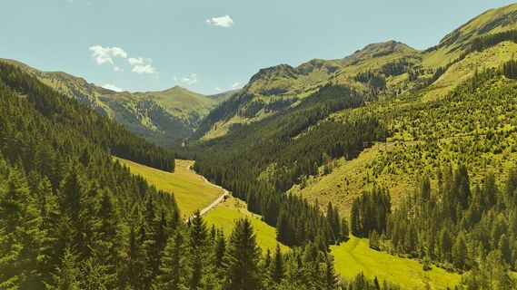 Stallaalm-Runde | Vogelperspektive 