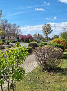 Foto de Mimi a lo largo del recorrido