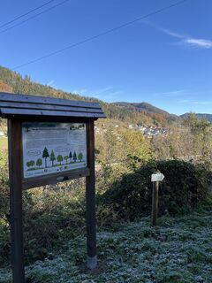 Foto von Sonja Zuser entlang der Tour