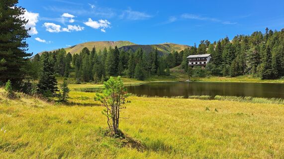 Fotografie z Anna Wilding na trase