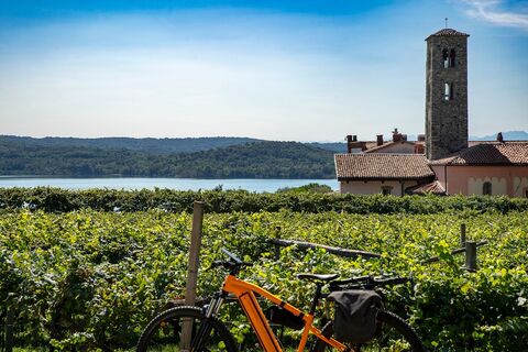 die Weinberge mit Blick auf den Viverone-See