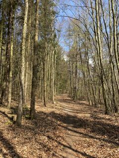 Fotografie z Attila Mihalcz na trase