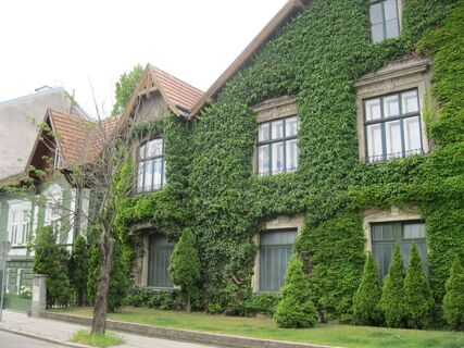 Mödling - Baden